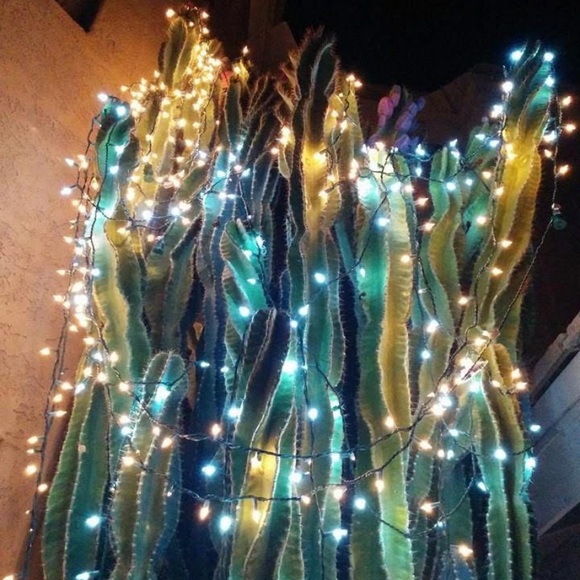 Meet your Posher, Nina - Picture 15 of 16